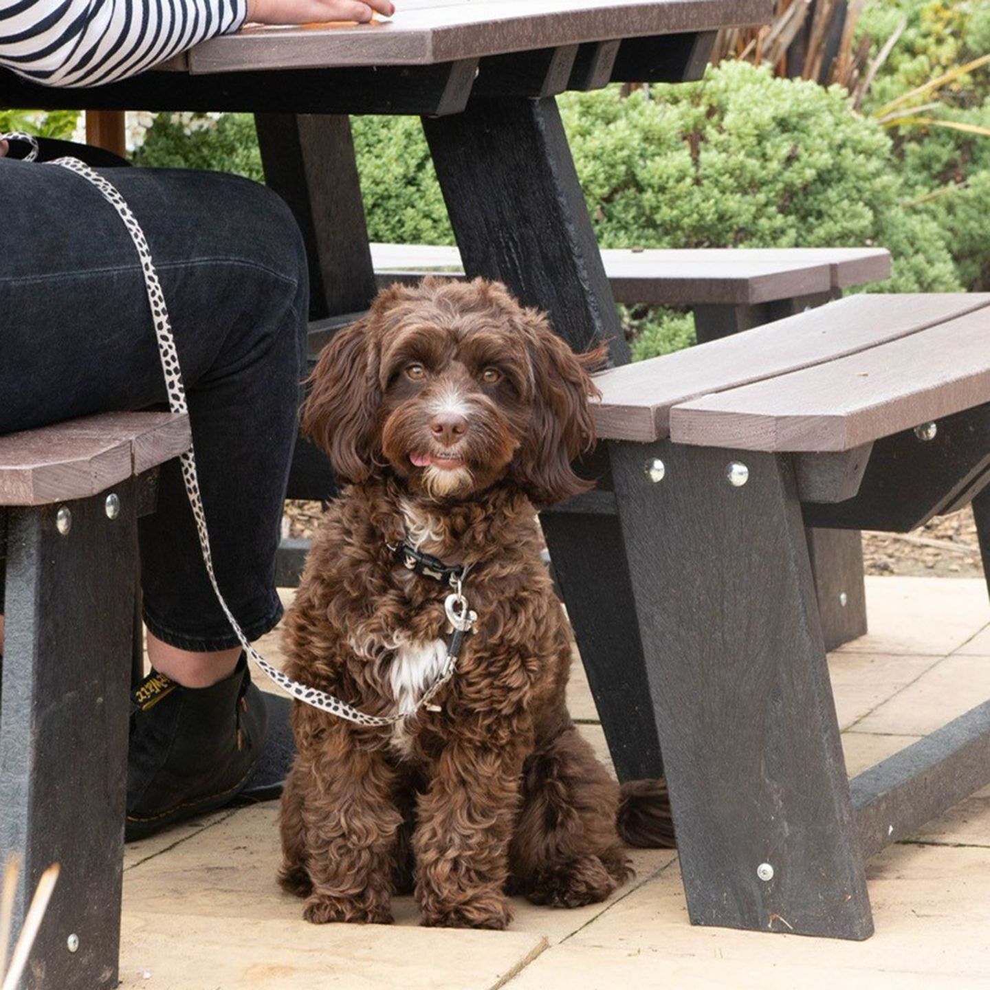 Your local dog friendly pub in Rugby 